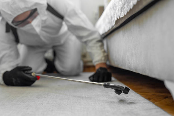 Professional Bed Bug Control technician working in Cypress Landing, NC