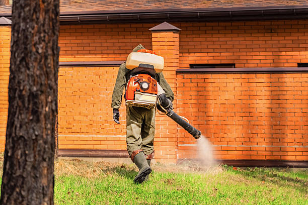 Trusted Termite Control service in Cypress Landing, NC - Nex Pest Control
